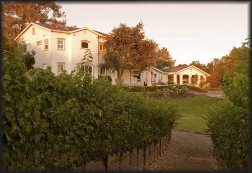 Sane Vine Vineyard