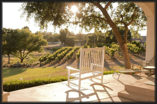 sane vine winery
